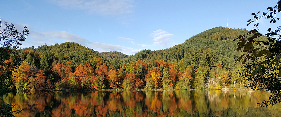 Bergsee Bad Säckingen