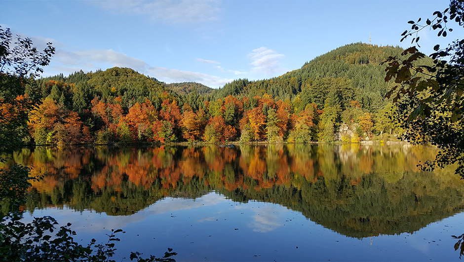 Lago Bergsee Bad Säckingen