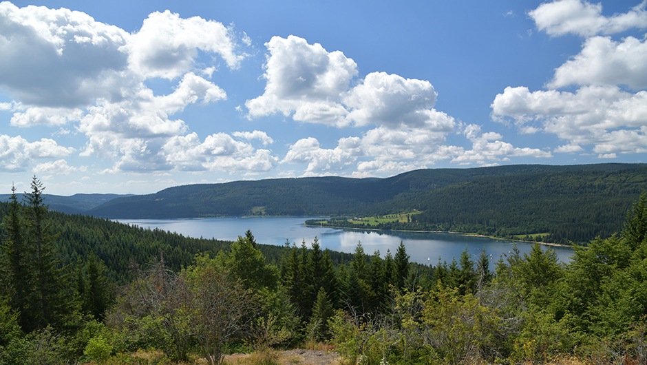 Mirador Bildstein del lago Schluchsee