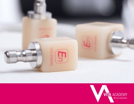 VITA VIONIC VIGO LIVE Online-Kurs