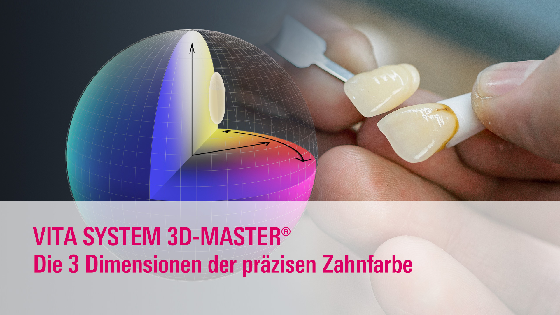 VITA Luminera 3D-MASTER シルバー VITA SYSTEM 3D-MASTER – Präzise Zahnfarben mit System