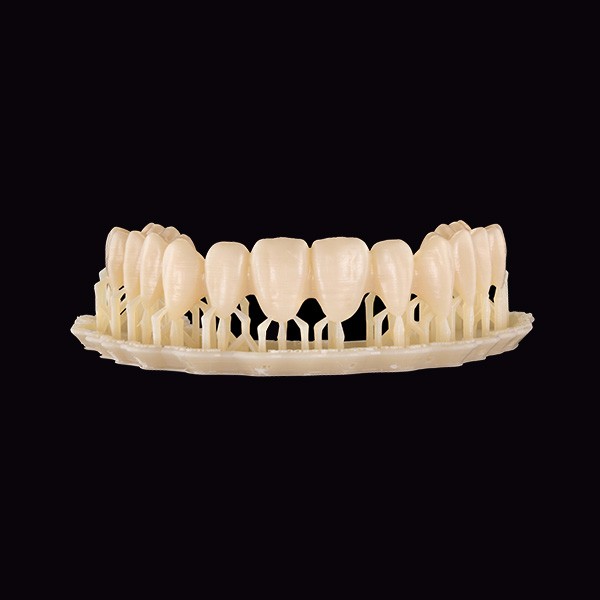 Arcada dentaria impresa en 3D.