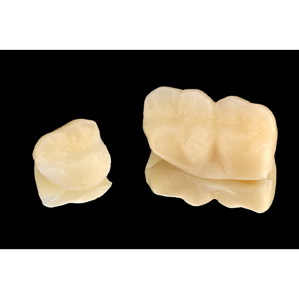 I denti 26 e 27 sono stati realizzati in blocco con le sezioni basali.