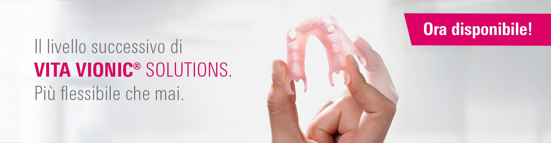 VITA VIONIC BASE RESIN FLEX