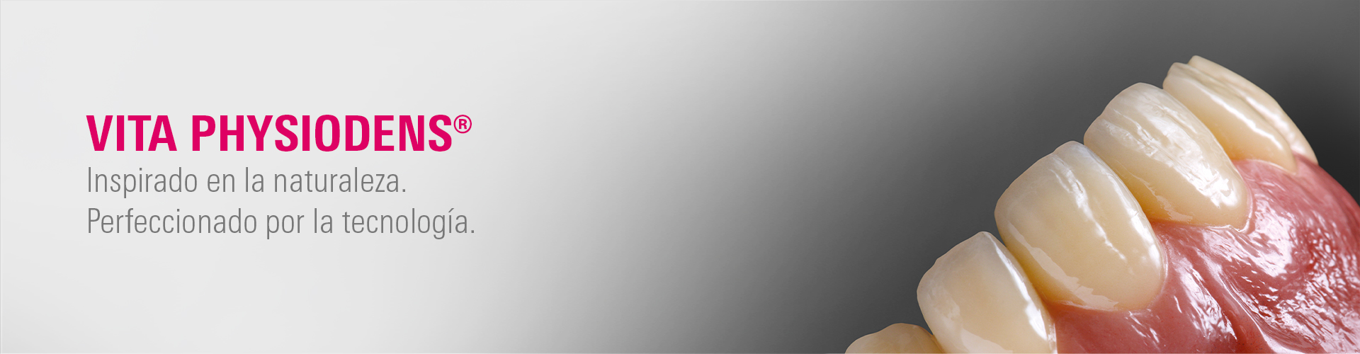VITA PHYSIODENS