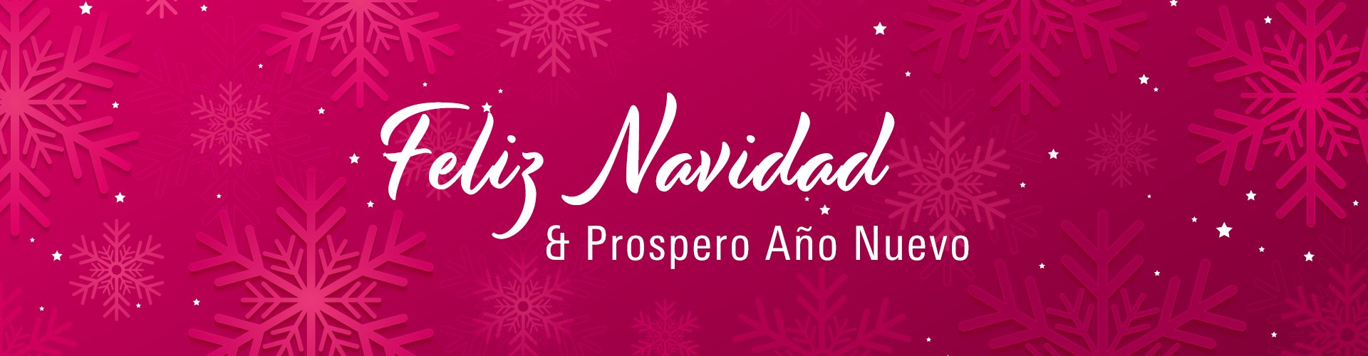 &iexcl;Feliz Navidad y pr&oacute;spero A&ntilde;o Nuevo!