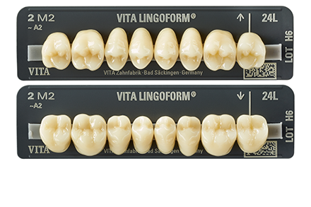 VITAPAN PLUS and VITA LINGOFORM