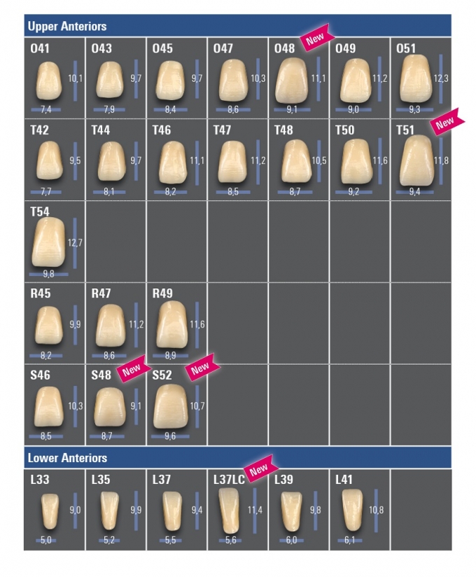 OVERVIEW OF SHAPES VITAPAN EXCELL