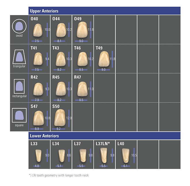 Shade Conversion Chart For Denture Teeth