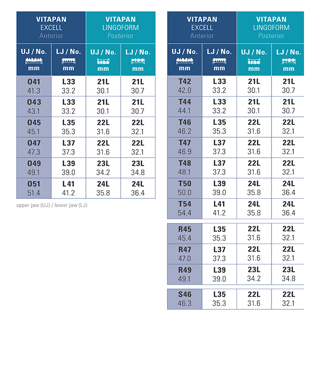 Vita Teeth Mould Chart